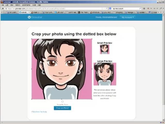 How to Get Your Profile Picture (Gravatar) to Show up in WordPress