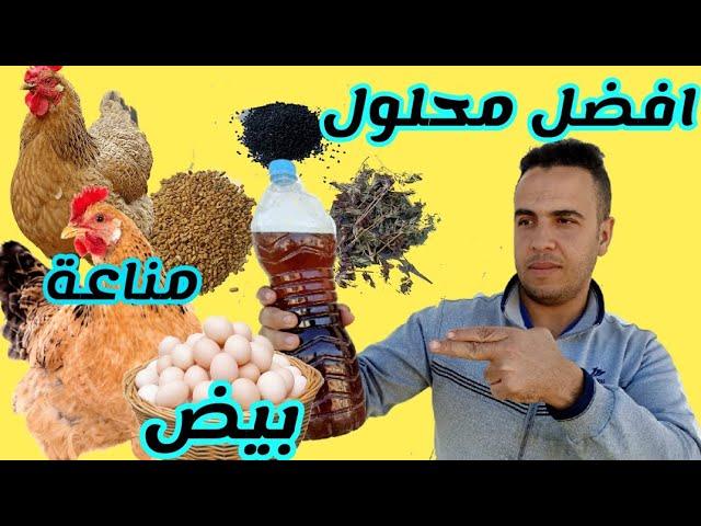 صنعت اقوى محلول طبيعي لزيادة المناعة و انتاج البيض