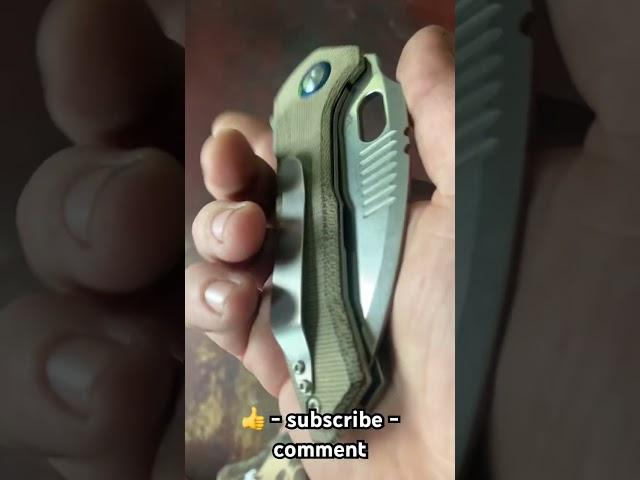 Kizer Mini Paragon #knife #edc #blade  #knifecollector