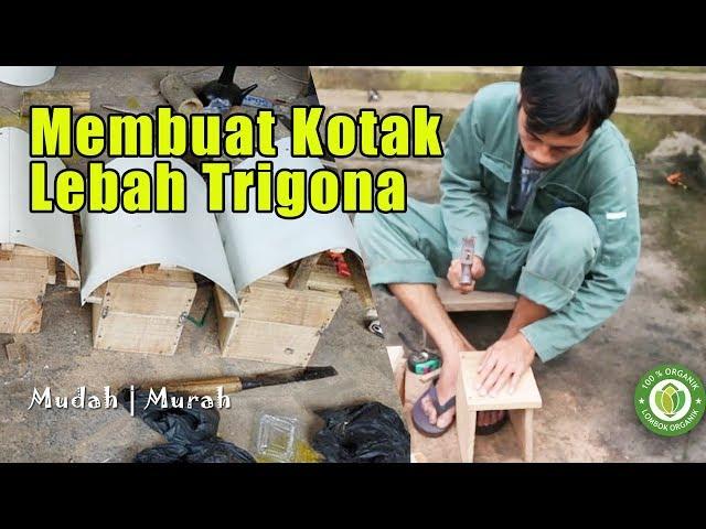 Cara Membuat Kotak Lebah Trigona/Klanceng Proses Mudah Biaya Murah