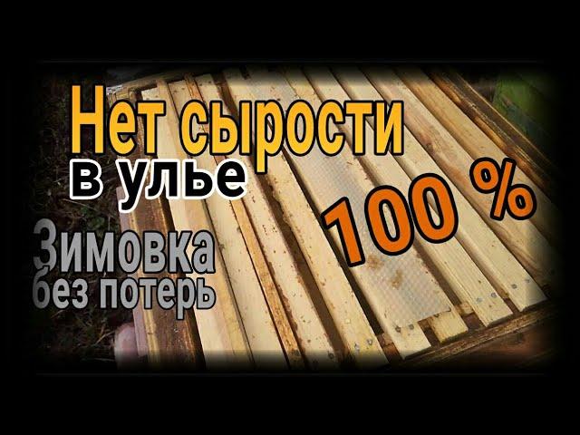 % Сырости нет в ульях круглый год! Зимовка без потерь!