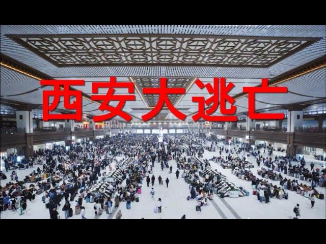 西安伪解封，市民大逃亡！战争一触即发？普京当真还是假动作。巴赫会见了习近平，但彭帅呢？她就是澳网的名片