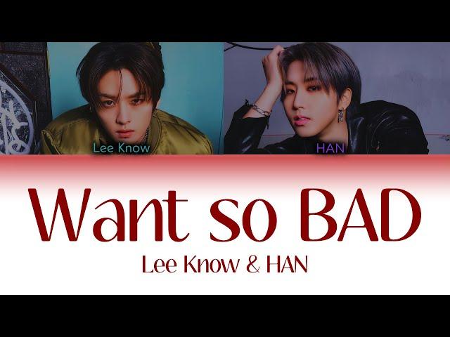 Lee Know & HAN "Want so BAD" (Color Coded Lyrics)