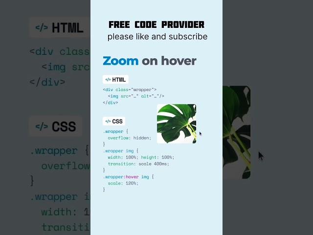 Image Zoom Effect On Hover CSS \\ zoom on hover #css #html #trending #viral #code #youtubeshort