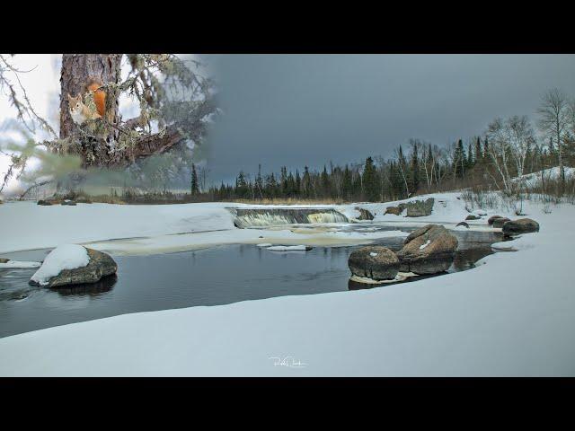 Hiking to Manitoba’s Stunning Rainbow Falls  Winter Wildlife & Waterfall Photography!