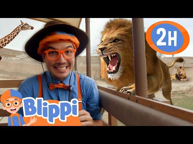 Blippi Explores a Safari Park! | BLIPPI | Educational Videos | Moonbug Kids