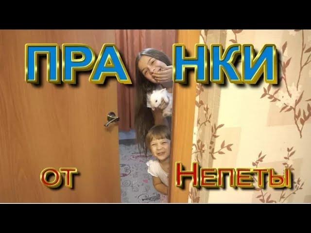 @NepetaFamily  пранки и розыгрыши на РОДИТЕЛЯМИ! от непеты кролик Ляля!