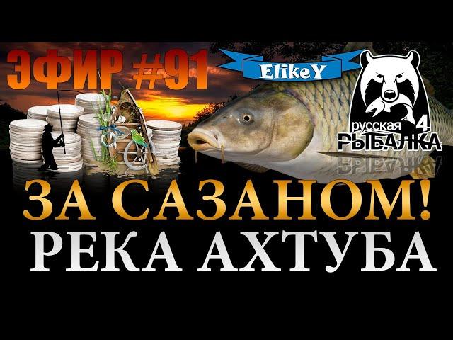 За Трофейным Сазаном! • 4.000 Подписчиков на канале! • Река Ахтуба • Русская Рыбалка 4 • ЭФИР #91