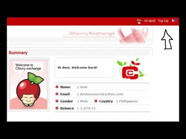 CHERRY CREDIT GENERATOR NO SURVEY