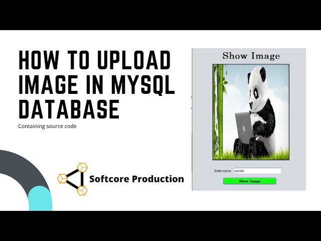 8 How to Retrieve/Display Image from MySQL Database in java