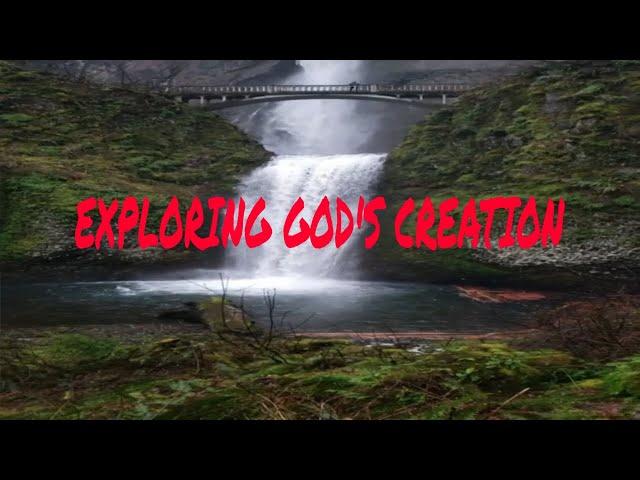 NATURE VIDEO WHEN EXPLORING THE GOD'S CREATION || LAIZA PRECIOUS