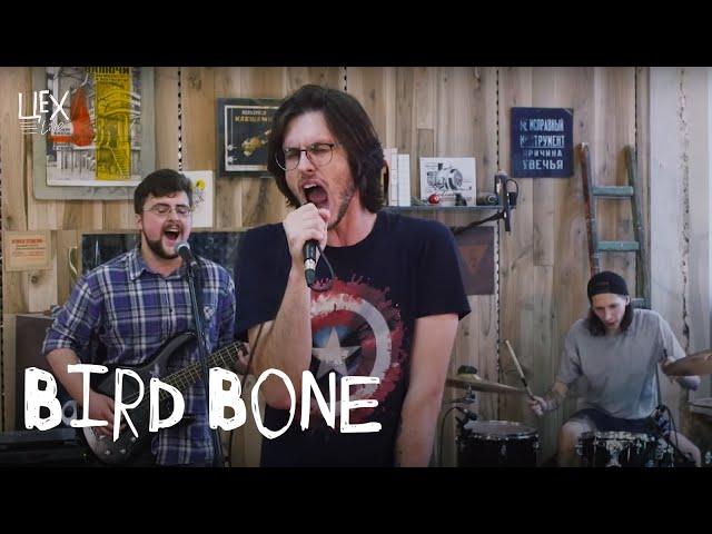 Bird Bone: Цех live