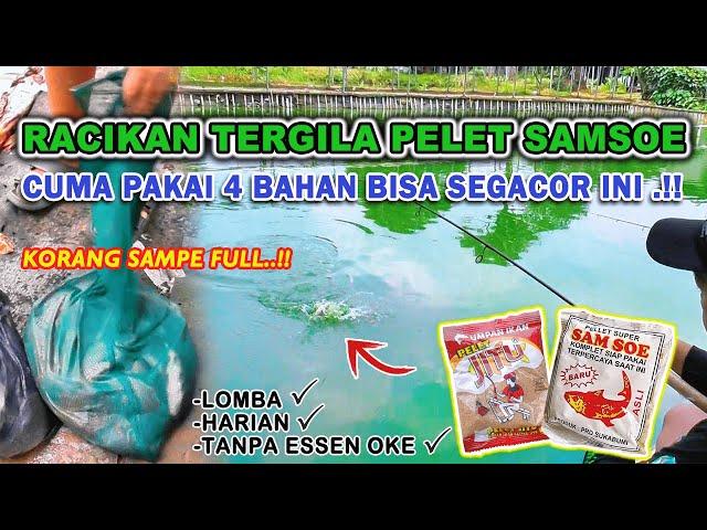 RESEP UMPAN DADAKAN TERGILA !! UMPAN IKAN MAS LARANGAN TERSADIS SPESIAL KILO GEBRUS