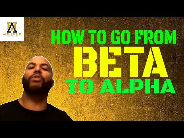 How To Go From A Beta Male To An Alpha Male