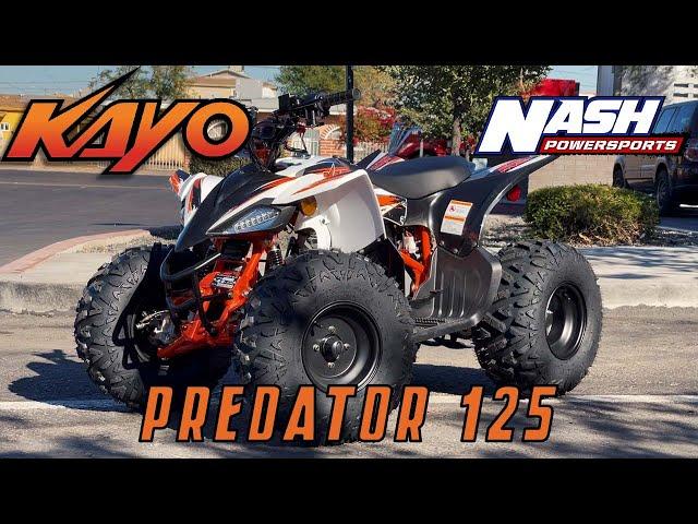 2022 Kayo Predator 125 Walk-Around