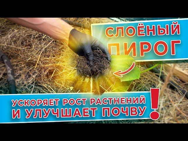 Слоеный пирог для почвы. Ускоряет рост растений и улучшает почву!