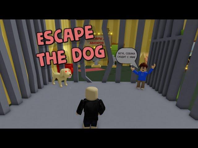 Сбежать от Собаки Барки  Escape the Dog в Роблокс