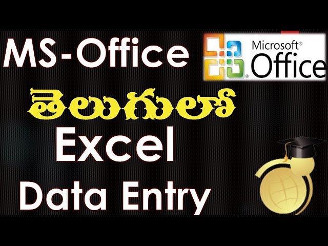 MS Office in Telugu - Data Entry in Excel