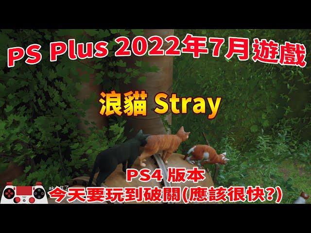 舊直播 PS4遊戲 浪貓Stray 7~12(END) 後期攻略流程→詳參時間目錄