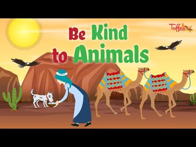 Toffee TV | Be Kind To Animals - Islamic Story For Kids