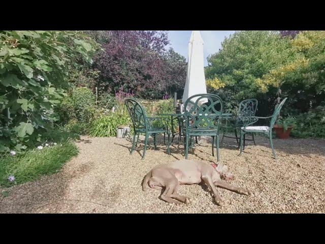 Gardeners Cottage Blakeney North Norfolk