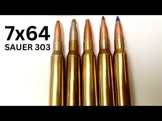 Best 7x64 ammo for Sauer 303