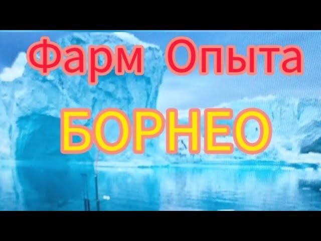 Русская Рыбалка 3.9 (РР3) (Борнео) (Фарм Опыта и Денег) 100 млн опыта за 1 игровые сутки