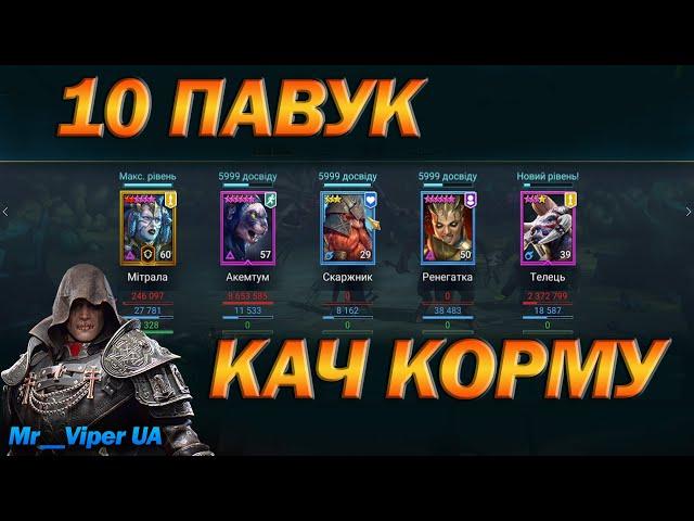 RAID: 10 ПАВУК АКЕМТУМ РЕНЕГАТКА МІТРАЛА ТЕЛЕЦЬ + КОРМ / Raid: Shadow Legends