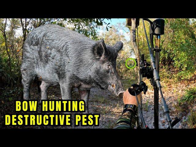 2 UNBELIEVABLE KILL SHOTS! Filming Hunts with The New GoPro Hero 13.