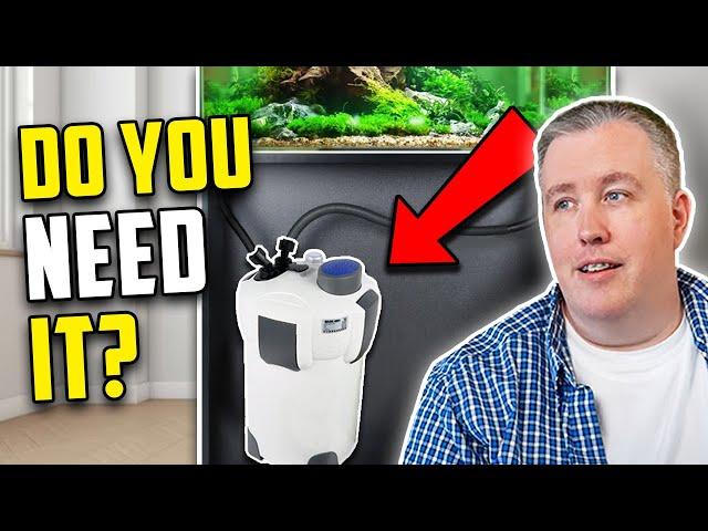 Does Your Aquarium Need A Canister Filter?