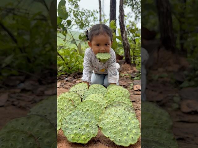 Survival Skills in Forest: single mom with Lotus Seed skills #survival #camping #bushcraft