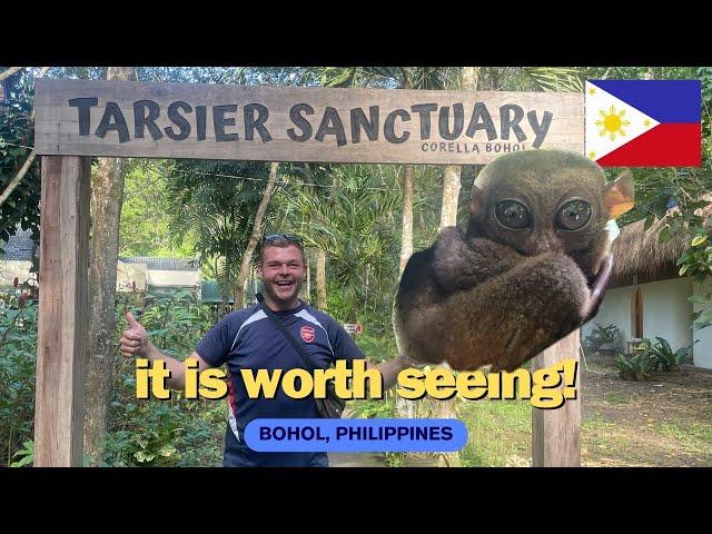 Its Sad They’re Almost Gone! | 2nd Smallest Primate | Philippines 