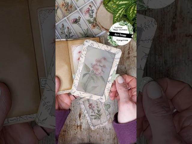 nature specimen mini book with gudrunshappyjournals.de paperkit