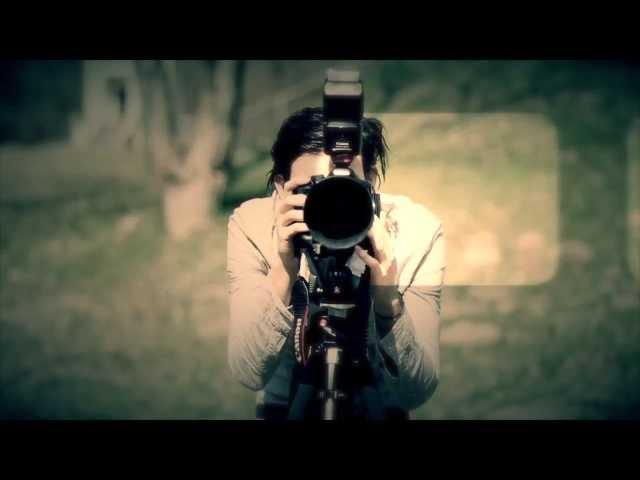The Perfect Shot