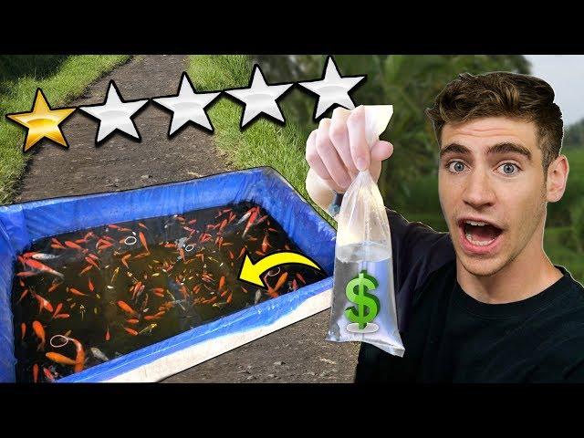 CHEAPEST AQUARIUM FISH SELLER ON THE STREET... (unbelievable find!)