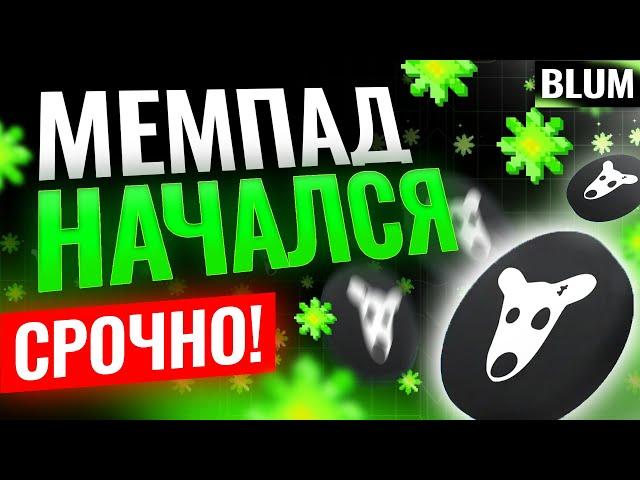 BLUM ЗАПУСТИЛ МЕМПАД! ЛОВИМ $DOGS В DROP GAME! БЛУМ РАЗДАЕТ $DOGS! СРОЧНОЕ ОБНОВЛЕНИЕ!