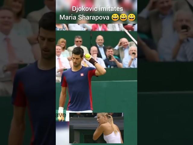 Джокович подражает Марии Шараповой #шорты#смешно#бадминтон#djokovic#sharapova#shorts