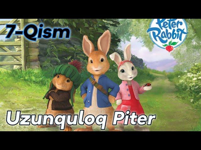 Uzunquloq Piter 7-qism o'zbek tilida #uzunquloq #piter #quyon #multfilm #osmondagibolalar #benjamin