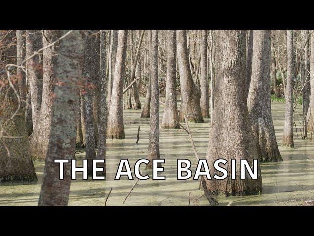 Coastal Kingdom | Season 4, Episode 5 – ‘ACE Basin’ | Full Episode