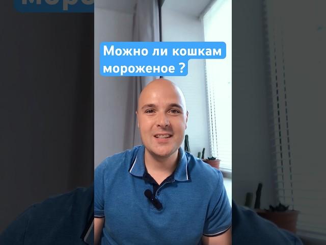 Можно ли кошкам мороженое? #кошки #ветеринар