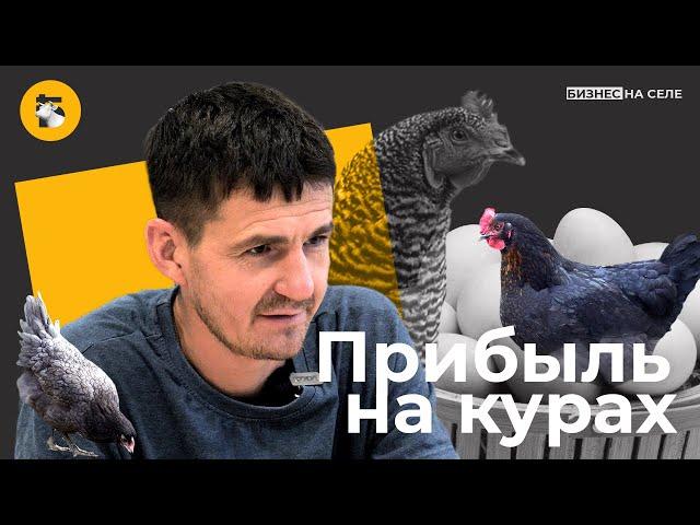 Куры на миллионы. Как фермер завез в Татарстан курицу, которая несет золотые яйца. | Альфа-банк