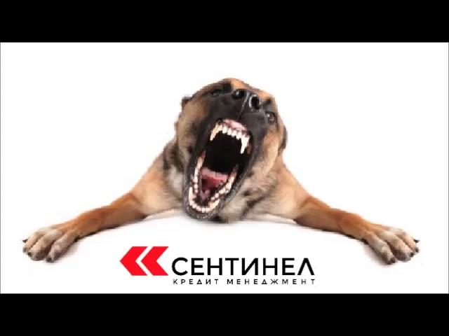 Сентинел против. 124 Василь Сергеич (сука пыжится изо всех сил!!!)