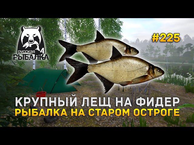 Крупный Лещ на Фидер. Рыбалка на Старом Остроге - Русская Рыбалка 4 #225