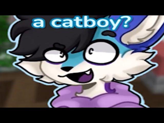 frost fox is a cat boy