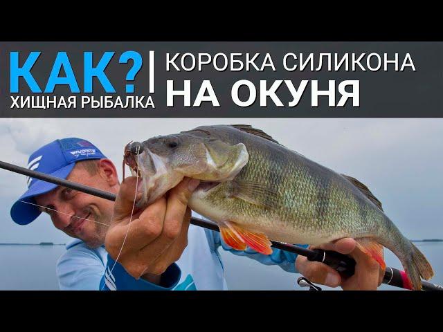 Как собрать коробку силикона на окуня? Наборы приманок для рыбалки весной, летом, осенью и зимой.