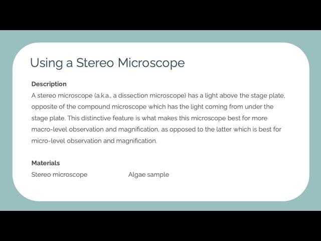 iMake Innovation Center Training: Stereo Microscope