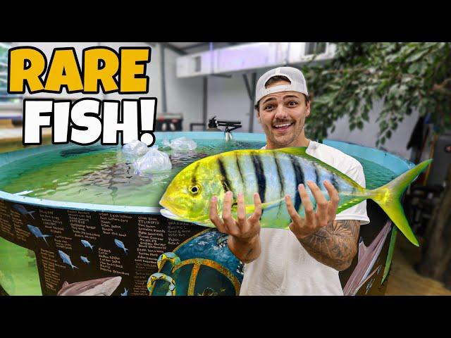 Buying MOST POWERFUL FISH for My SHARK POND!!