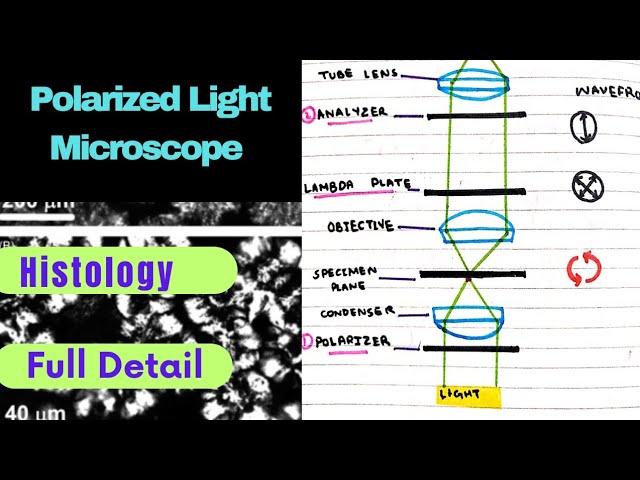 Polarising Microscope |Histology |Bancroft |Lecture 6