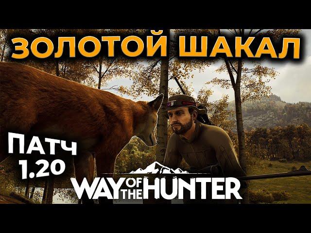 [СТРИМ] Way of the Hunter ► ЗОЛОТОЙ ШАКАЛ В КОНЦЕ СТРИМА? :-)