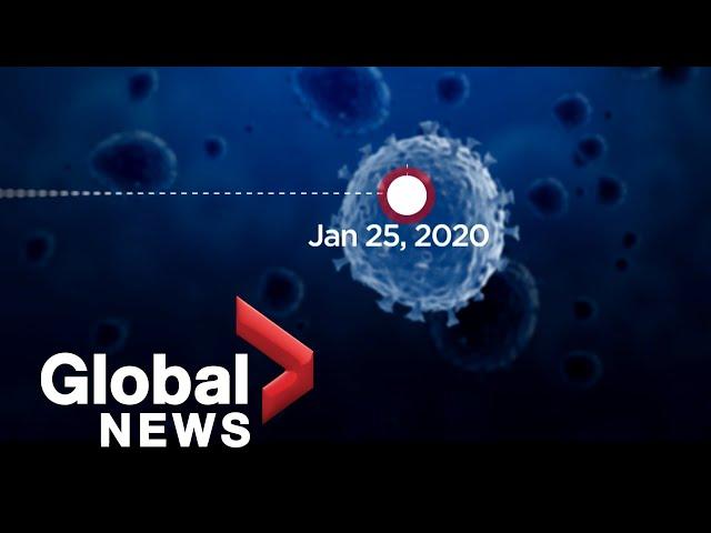 Coronavirus timeline: One year since Canada's 1st COVID-19 case